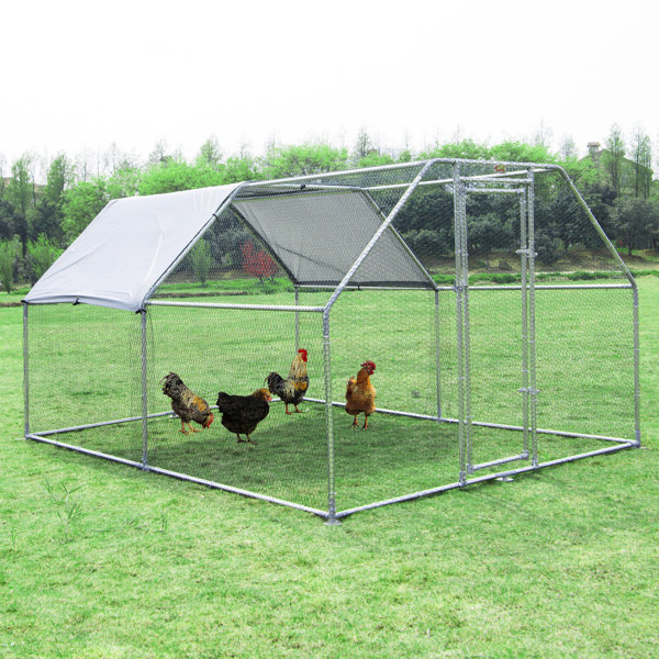 Tucker Murphy™ Pet Sharma Walk In Chicken Run with Wire Mesh For Up To